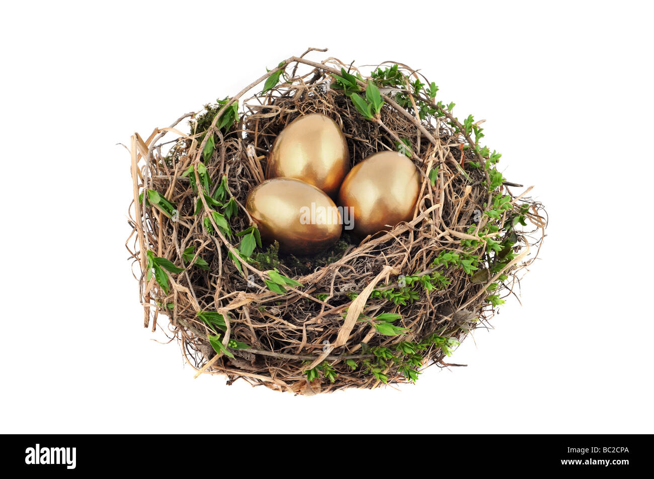 Bird's nest with golden eggs isolated on white background Stock Photo ...