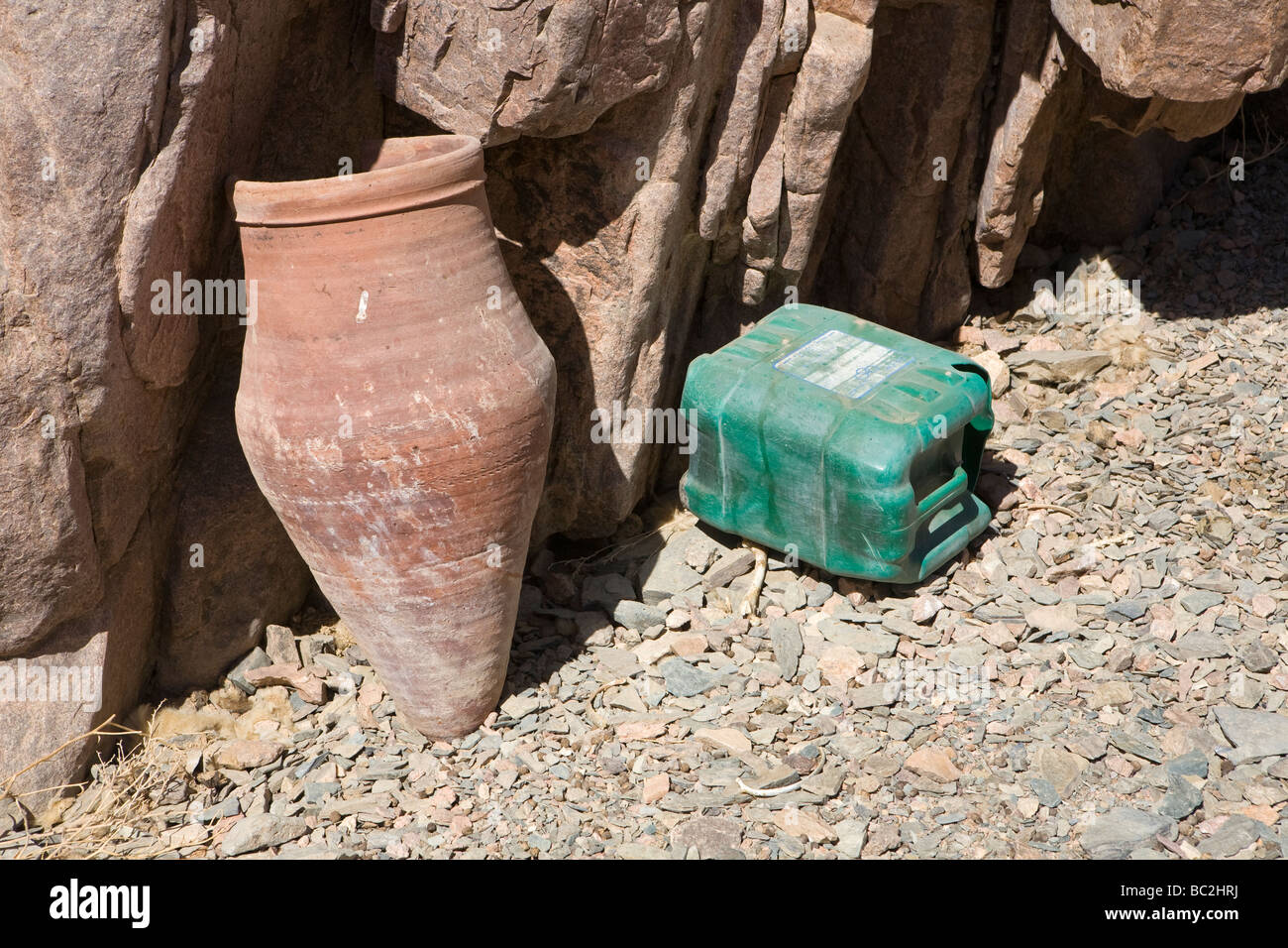 Wild bir hires stock photography and images Alamy