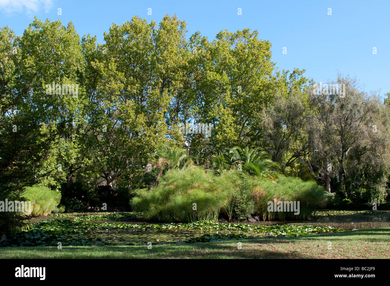 Queen Victoria Gardens, Melbourne, Victoria, Australia Stock Photo Alamy