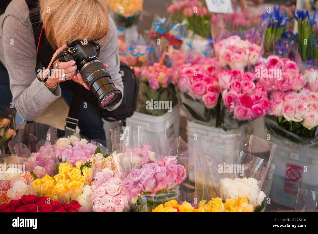 photography student taking a picture of flowers at the Farmers Market Santa Barbara California Stock Photo