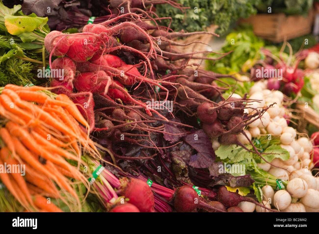beets carrots and radishes for sale at the Farmer s Market Santa Barbara California Stock Photo