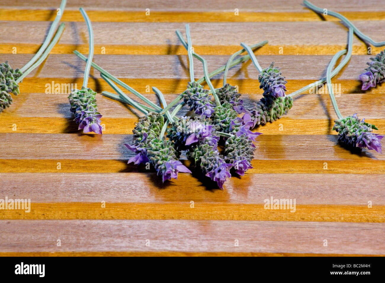 Close-up of lavender flowers on wooden deck Stock Photo