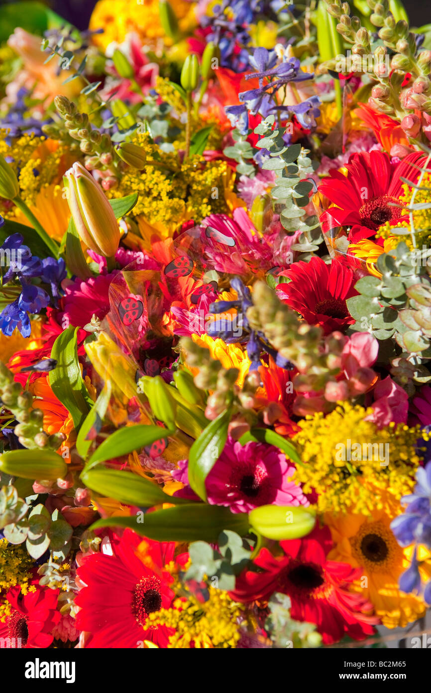 flowers for sale at the Farmers Market Santa Barbara California Stock
