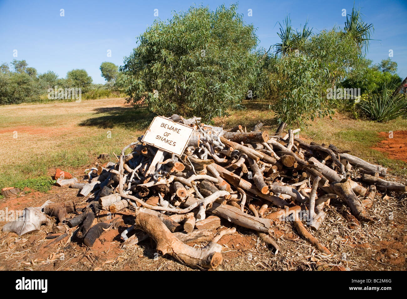 Snake in the wood pile Stock Photo Alamy