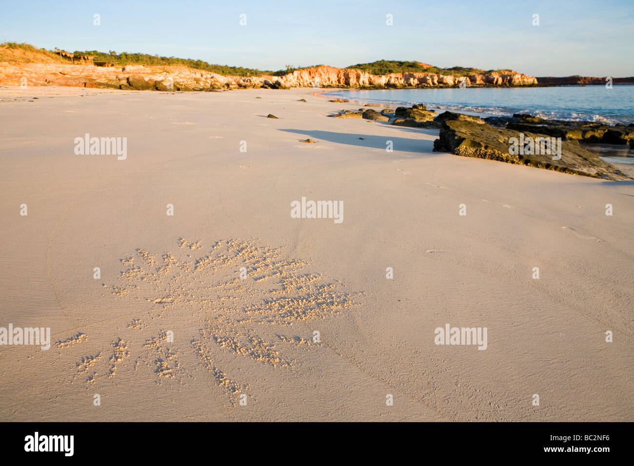 Coastline and cliffs at Cape Leveque on the Dampier Peninsula north of Broome Stock Photo Alamy