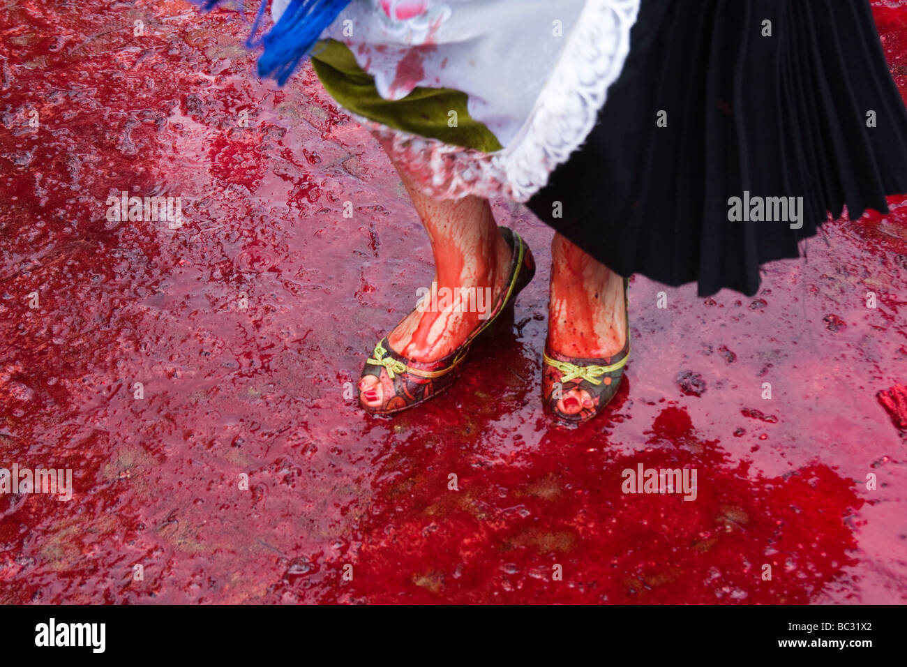 A woman dances in the blood of a slaughtered bull in Paracho, Michoacan, Mexico. Stock Photo
