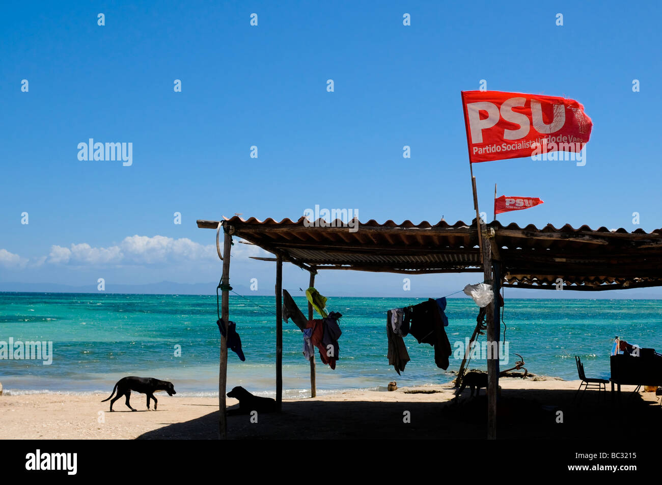 Dog walks by fishing shack in Cubagua Island, Venezuela. Stock Photo