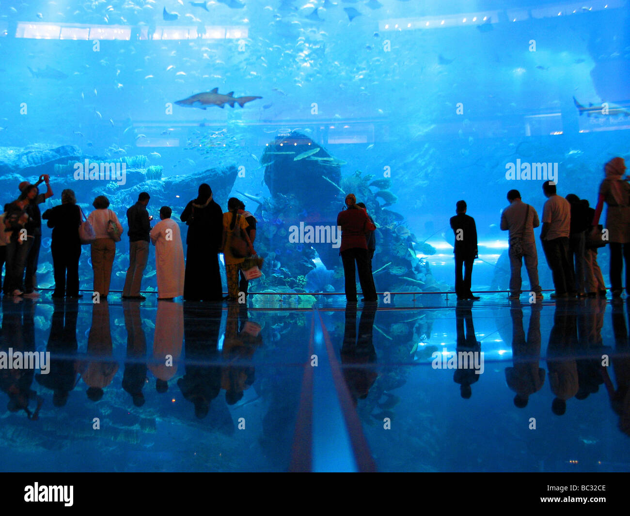 Biggest aquarium in the world at the Dubai Aquarium and Discovery Centre  Stock Photo - Alamy