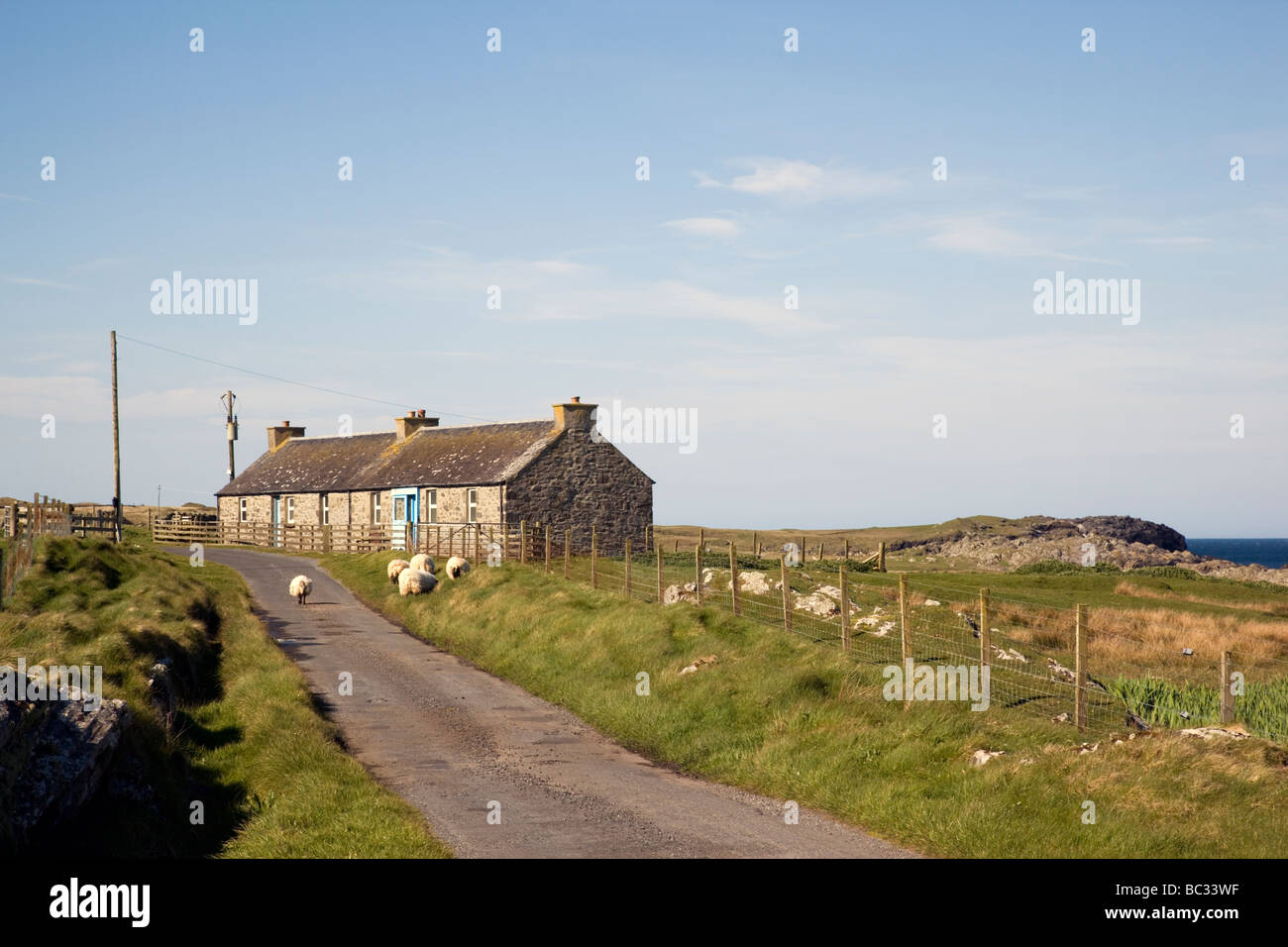 Cottages and sheep at Saligo, Islay, Scotland Stock Photo