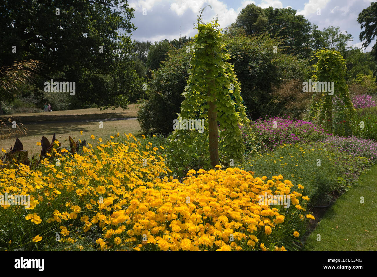 Flower beds, Royal Botanic Gardens, Kew, London Borough of Richmond