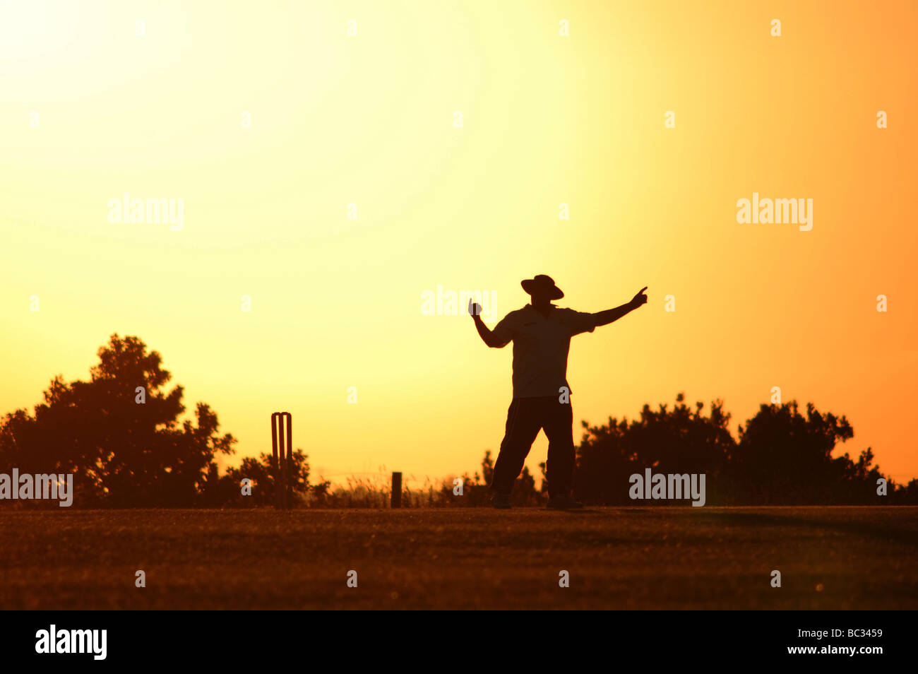 Umpire signalling during a cricket match on a summer's evening in Luton, England. Stock Photo