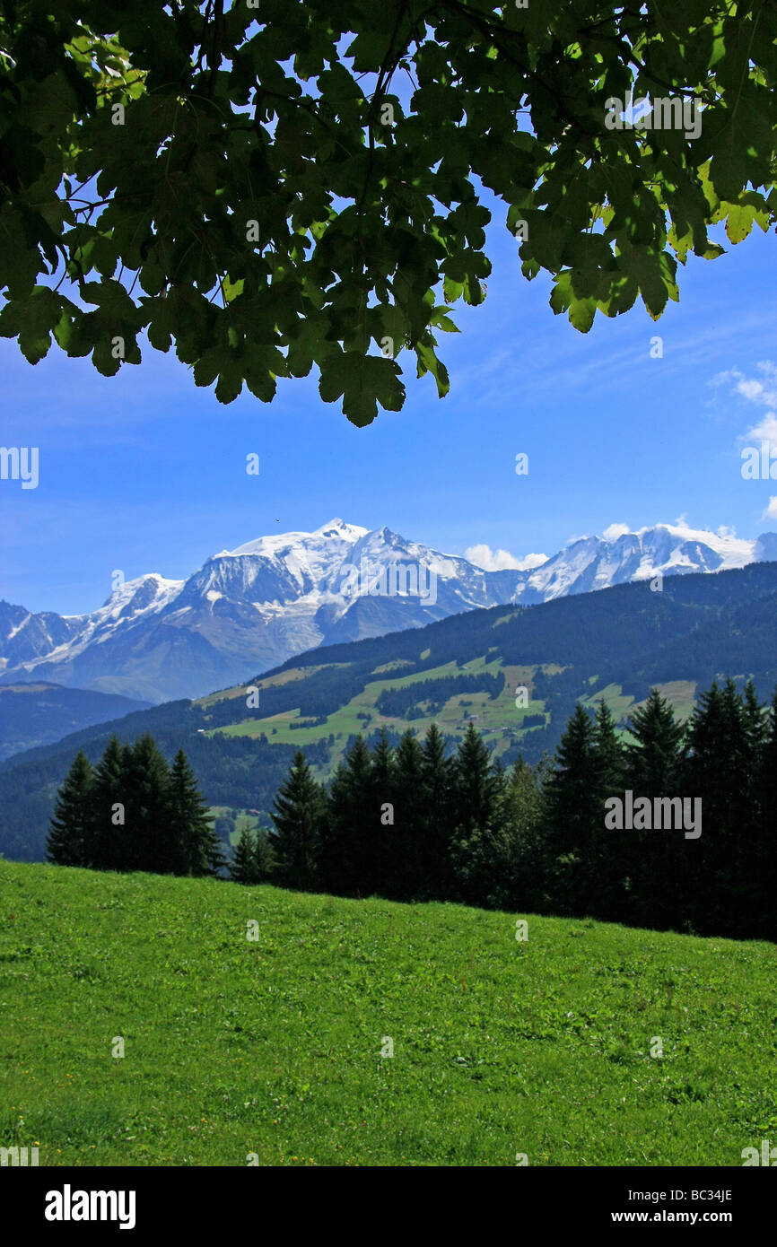 Haute Savoie (Upper Savoy): Hiking trail in the mountain Stock Photo