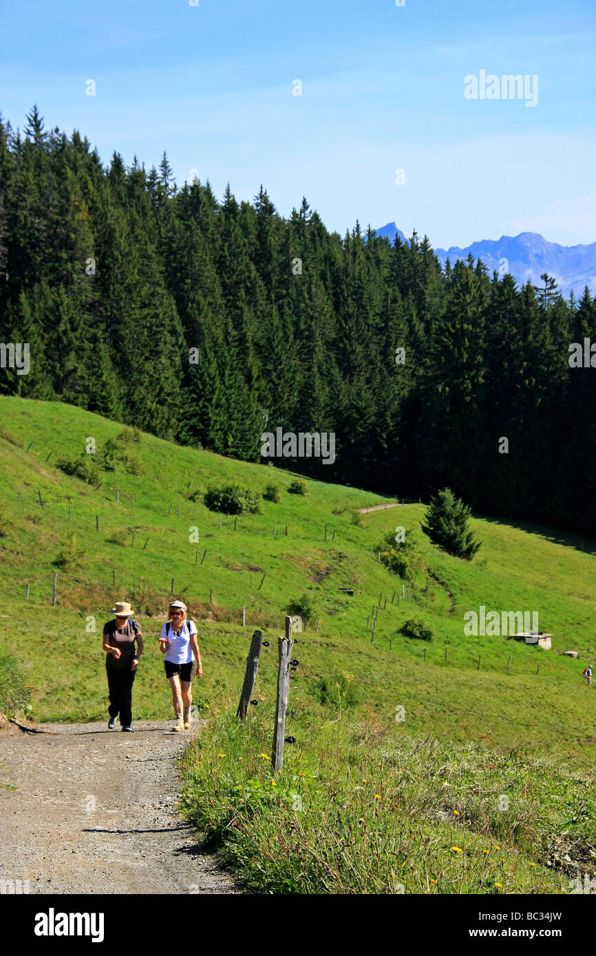 Haute Savoie (Upper Savoy): Hiking trail in the mountain Stock Photo