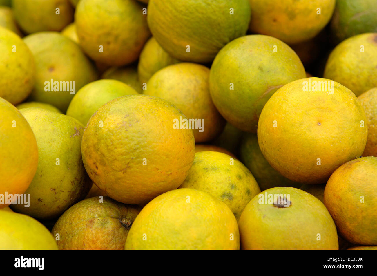 India mandarin oranges Stock Photo Alamy
