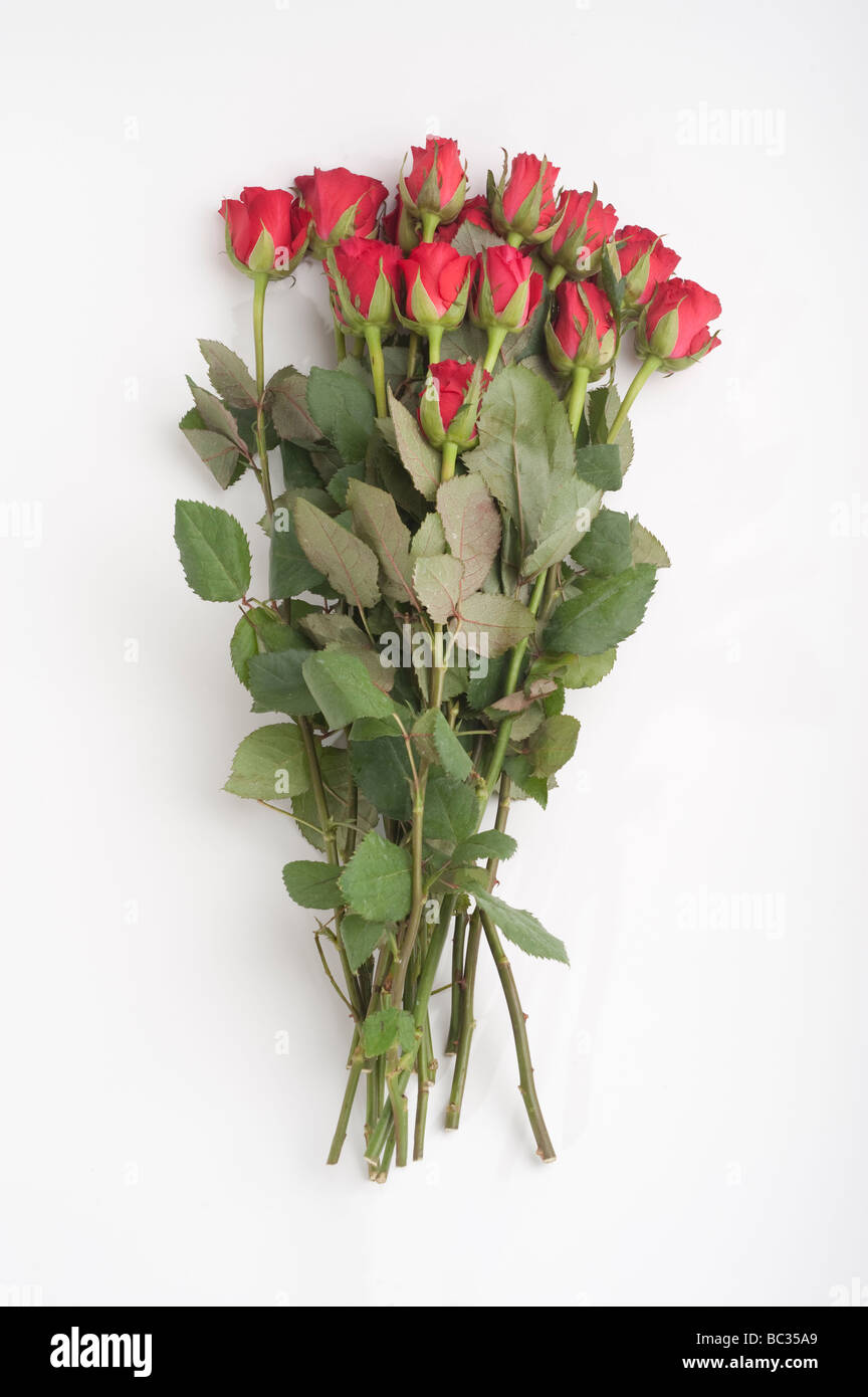Smidge Of This Diy A Professional Looking Flower Arrangement