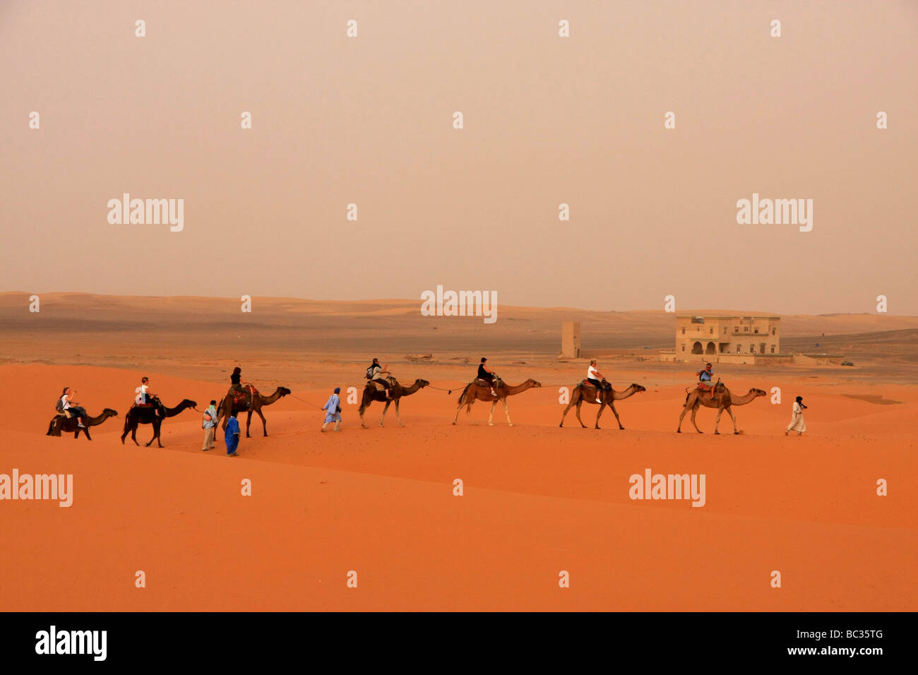 Morocco visual data 4