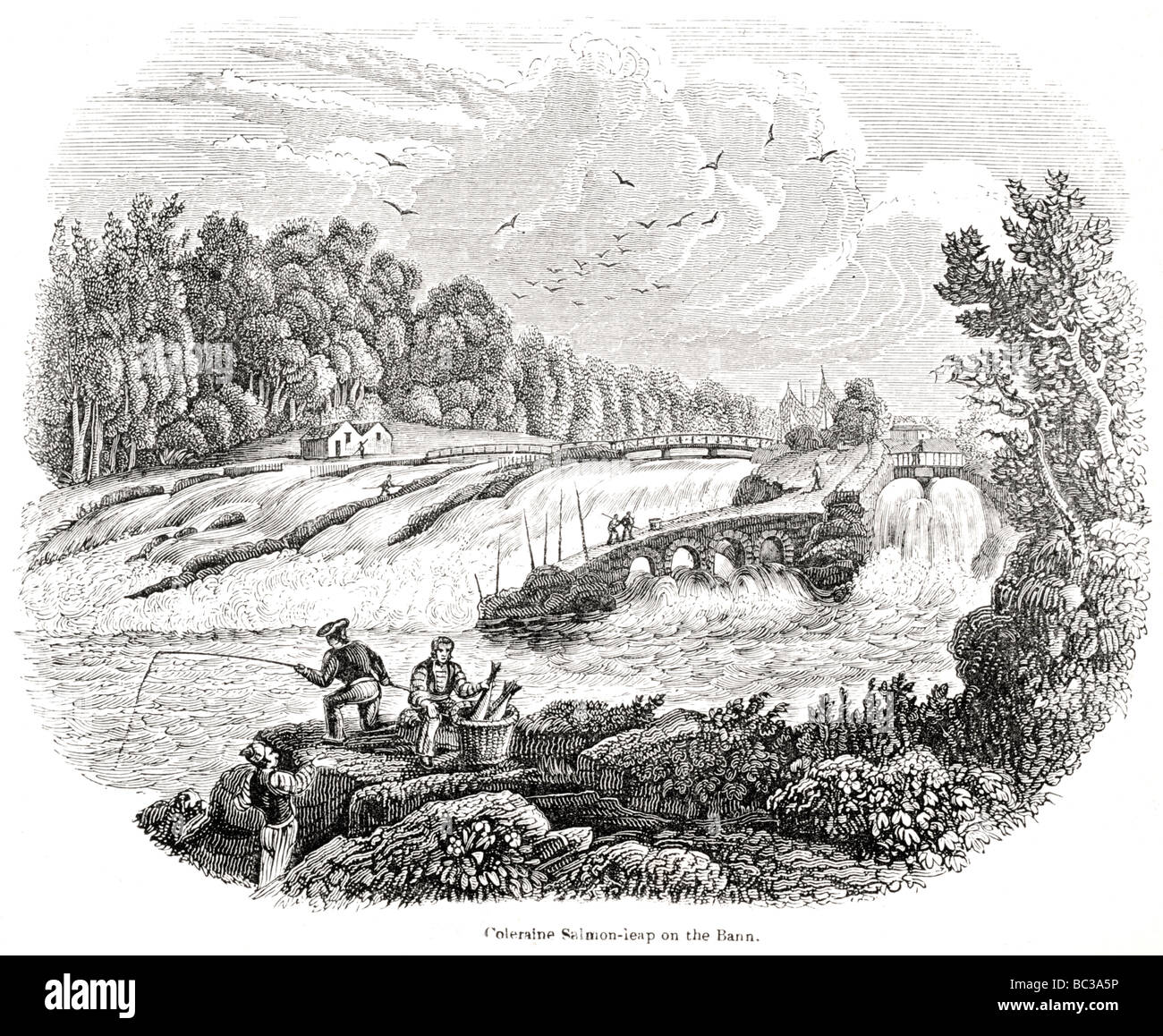 coleraine salmon leap on the bann Stock Photo Alamy