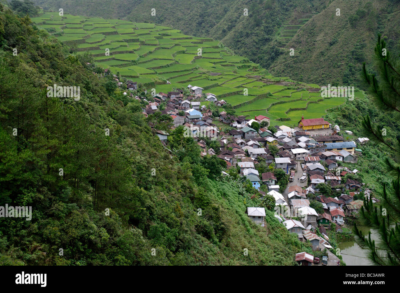 Bayyo Village and Rice Terraces, Near Bontoc, Mountain Province, North ...