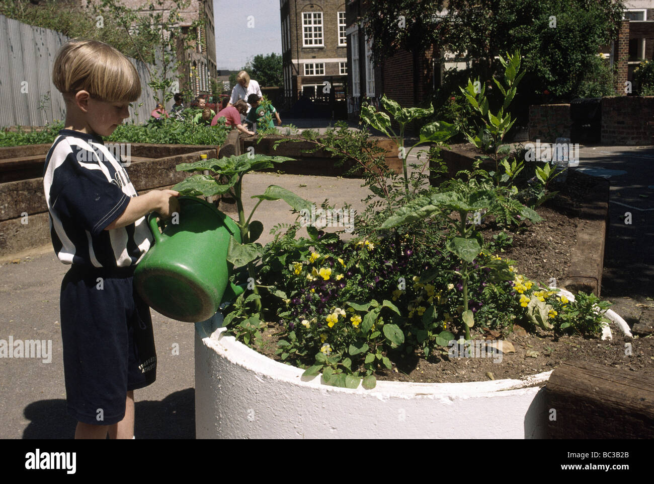 young primary school boy watering plants Stock Photo - Alamy
