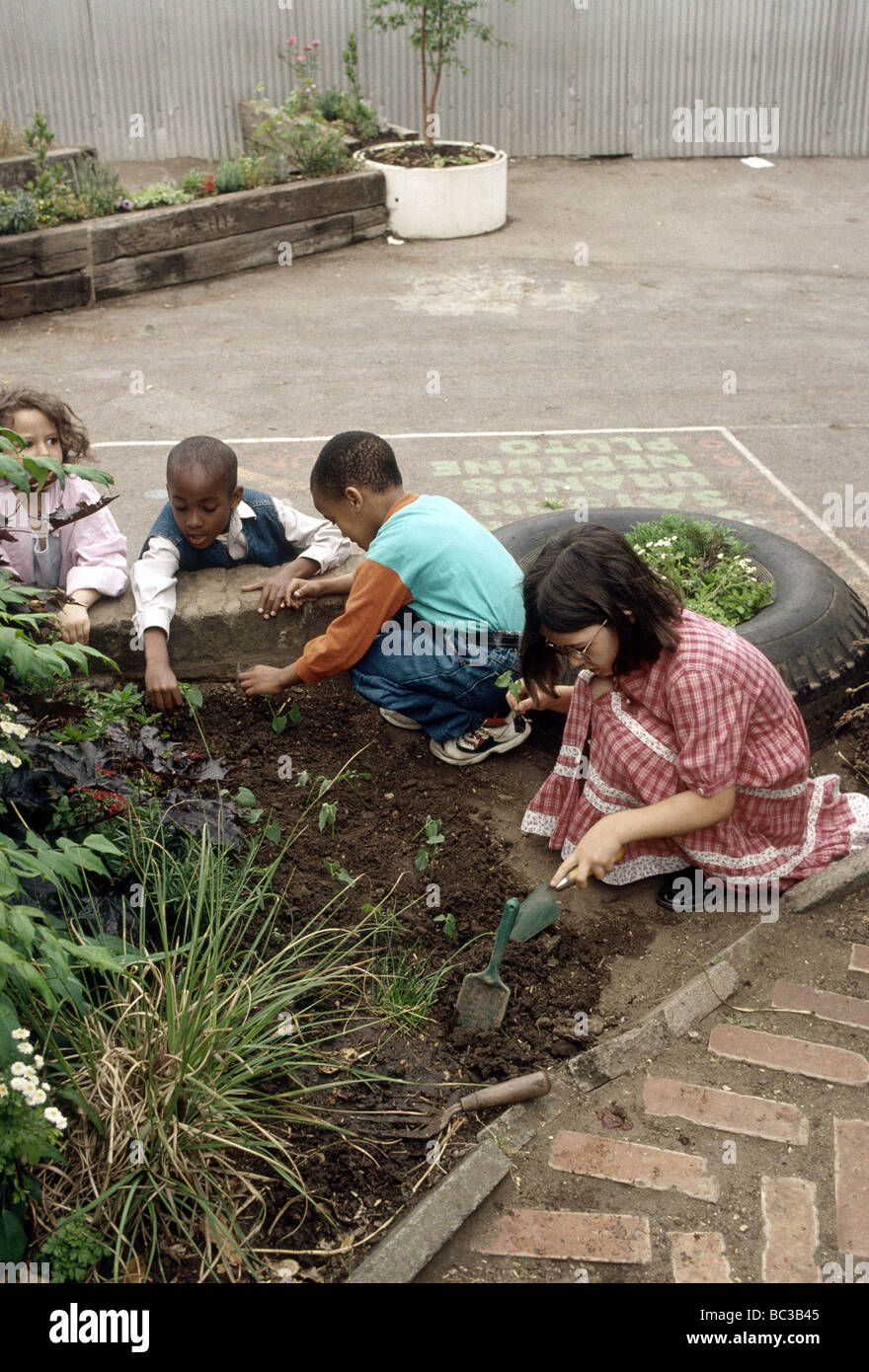 Young Primary School Children Gardening In The Playground Stock Photo Young Primary School Children Gardening In The Playground Stock Photo