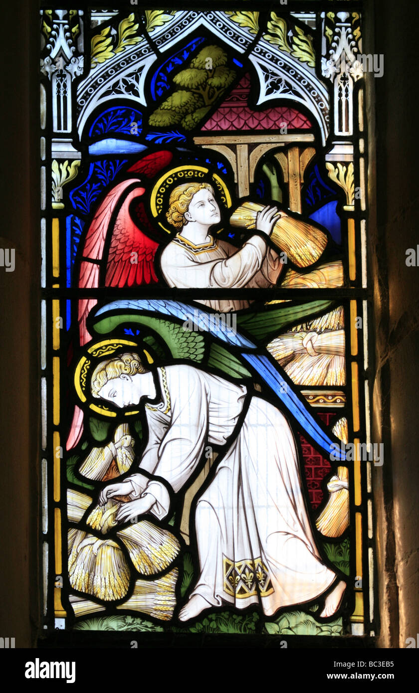 A stained glass window depicting matthew chapter 13 verse 38 chesterton