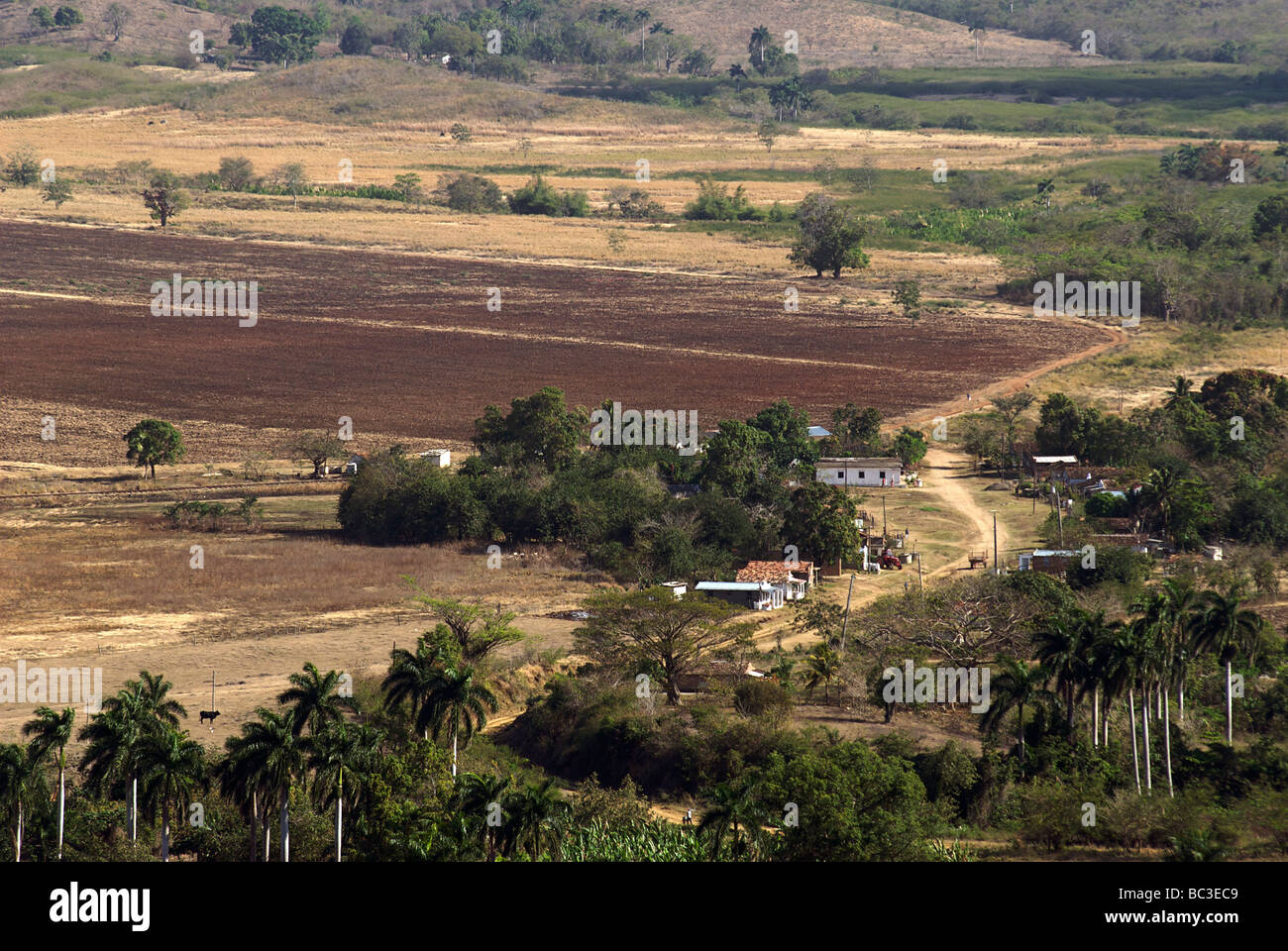 View across the  Valle de los Ingenios. Near Trinidad, Cuba Stock Photo