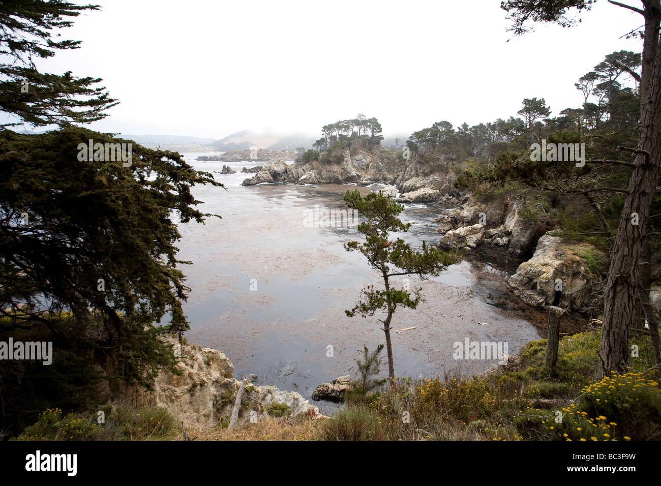 Point Lobos Coastline, Pacific Coast Highway, Carmel-by-the-Sea, Monterey County, California, USA Stock Photo
