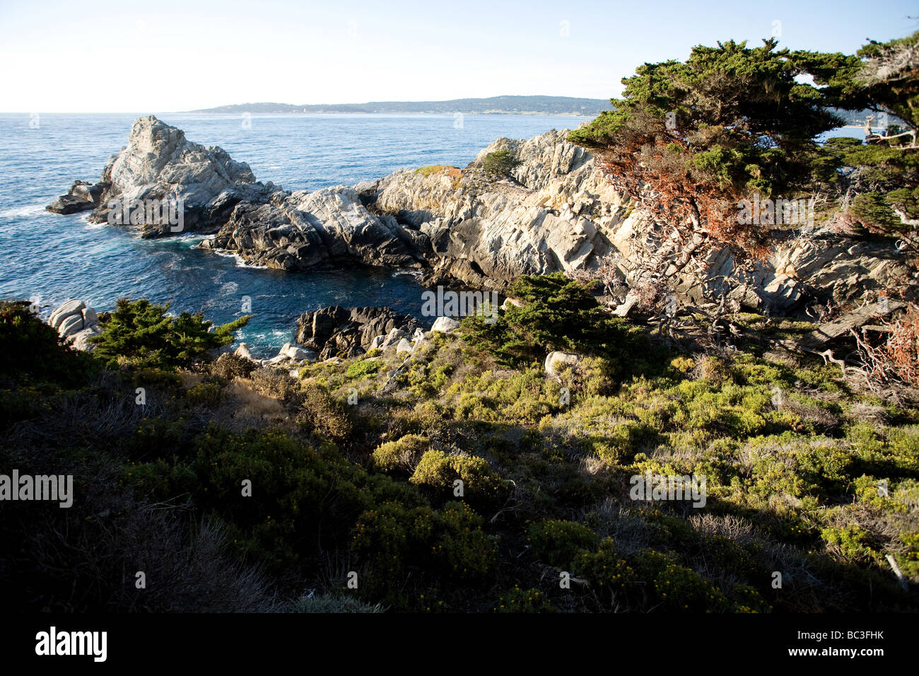 Point Lobos Coastline, Pacific Coast Highway, Carmel-by-the-Sea, Monterey County, California, USA Stock Photo