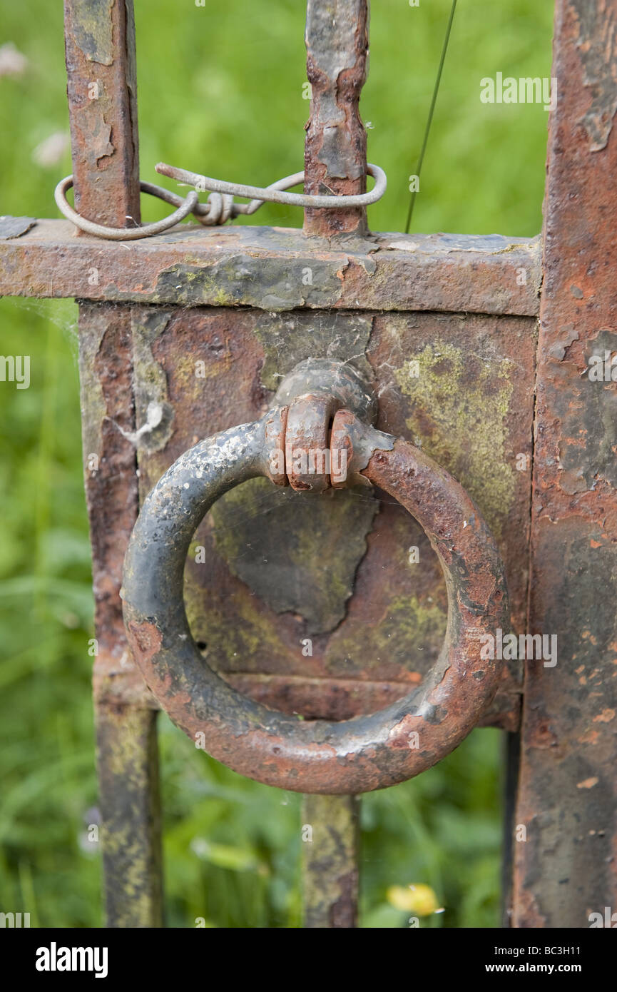 Close up of rusty iron gate latch ring with peeling paint and colourful corrosion from entrance gate to church cemetery Stock Photo