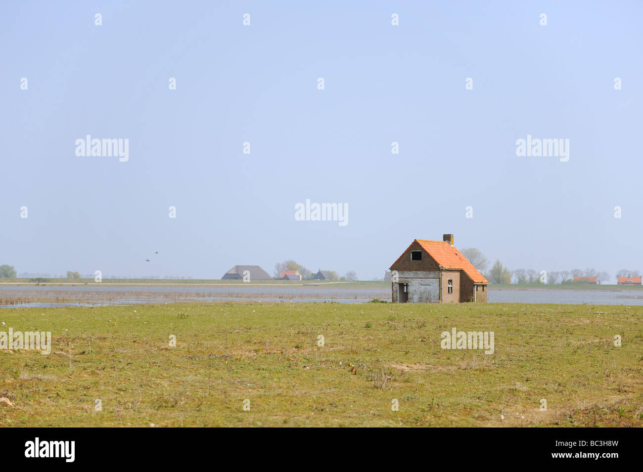 Water landscape in Holland with uninhabitable house Stock Photo Alamy