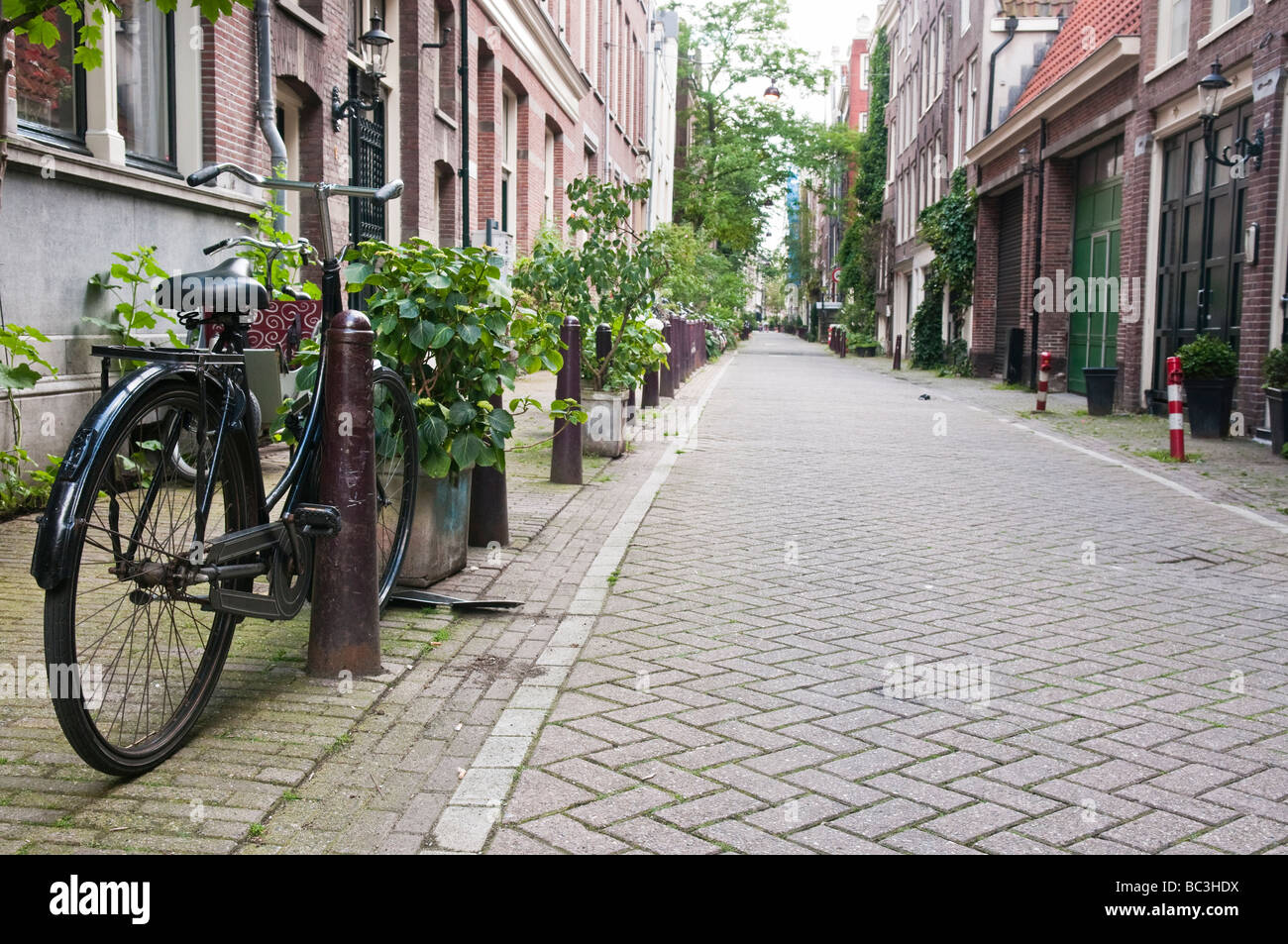 Bicycle parked on an empty street in Amsterdam with lots of plants. Stock Photo