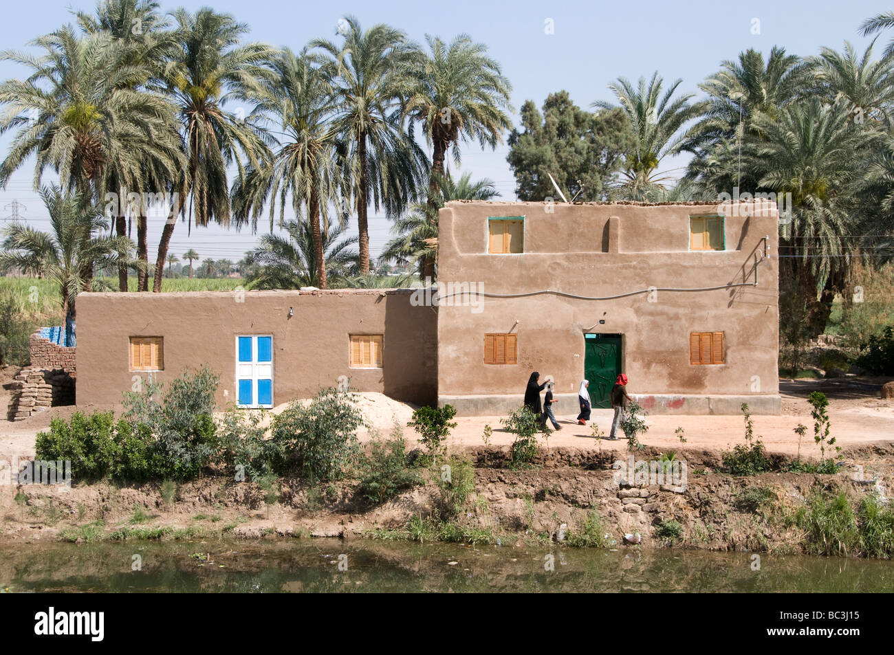 Nile River Egypt Farm Farmer agriculture field two boys donkey cart ...