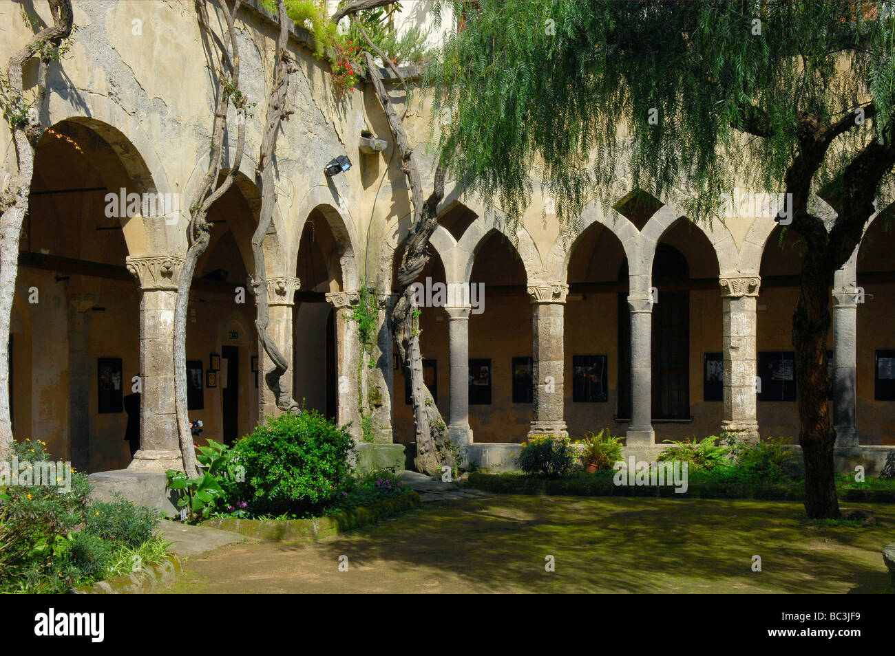 The cloister of S Francesco in Sorrento Italy Stock Photo Alamy