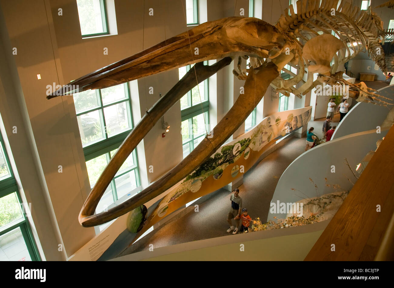 North Carolina Museum of Natural Sciences. Stock Photo
