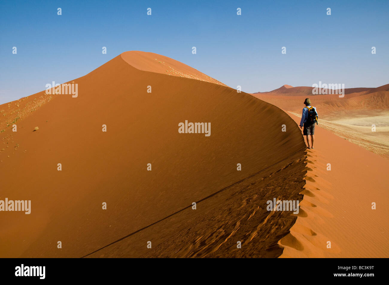 climber on the beautiful sand dune landscape of Sossusvlei National ...