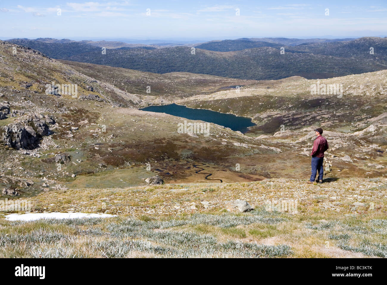 Australia bushwalk national park hi-res stock photography and images ...