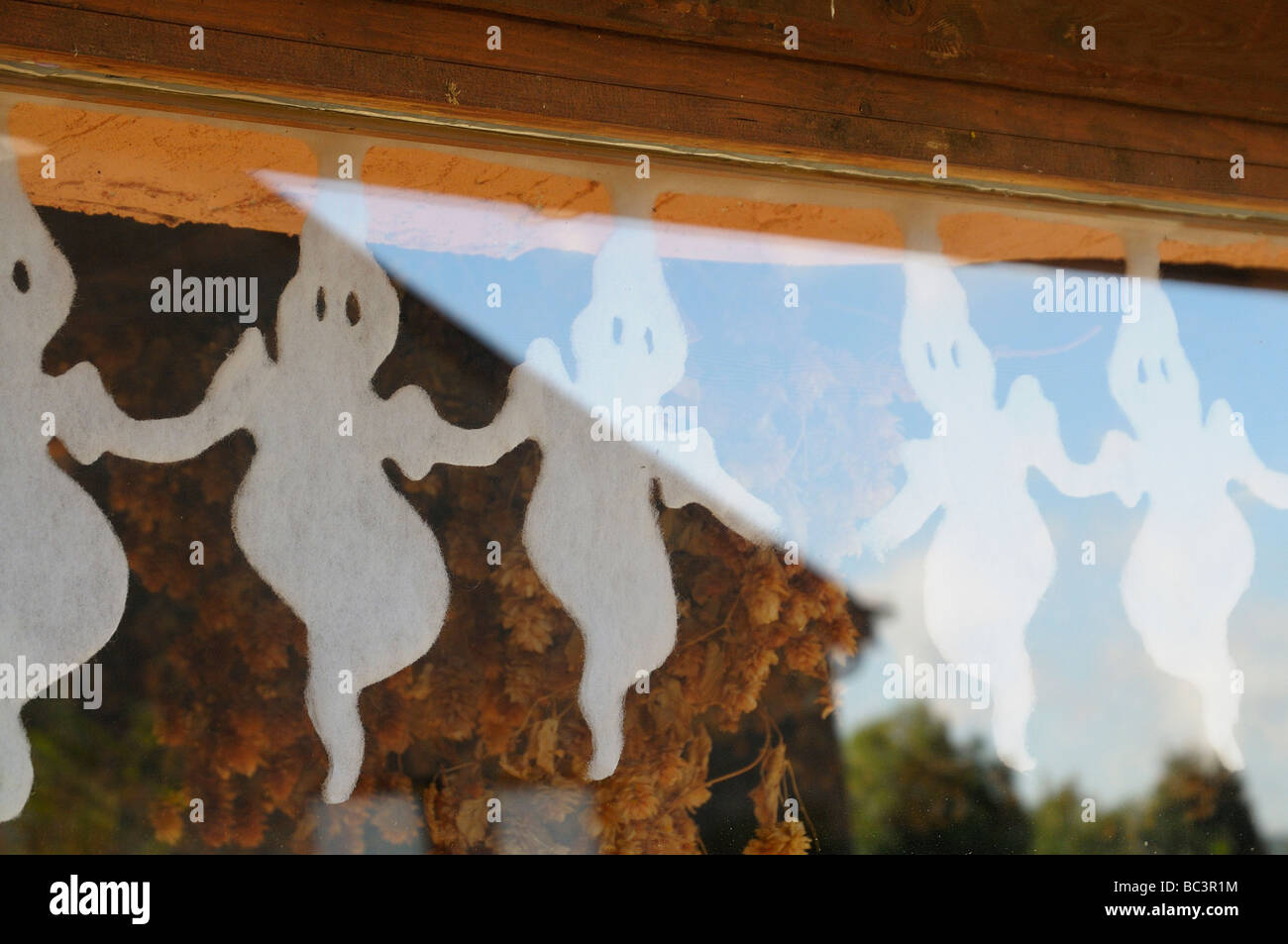 Cut out ghosts, the emblem of the Fantome Brewery, Belgium, backed by dry hops line window. Stock Photo