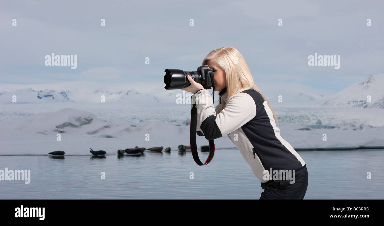 Photographer shooting seals at Jokulsarlon, Breidamerkurjokull glacier, Eastern Iceland Stock Photo