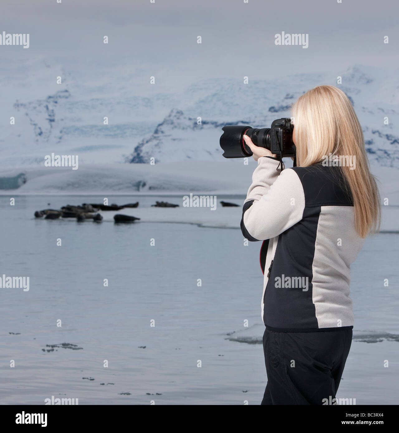 Photographer shooting seals at Jokulsarlon, Breidamerkurjokull glacier, Eastern Iceland Stock Photo