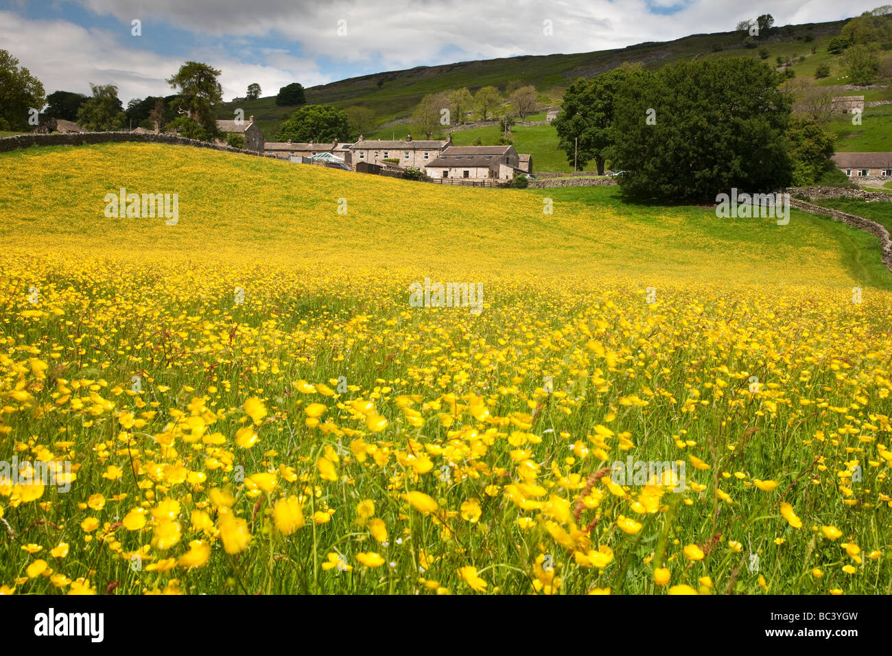 Swaledale wild flower meadows near Healaugh Yorkshire Dales National Park Stock Photo