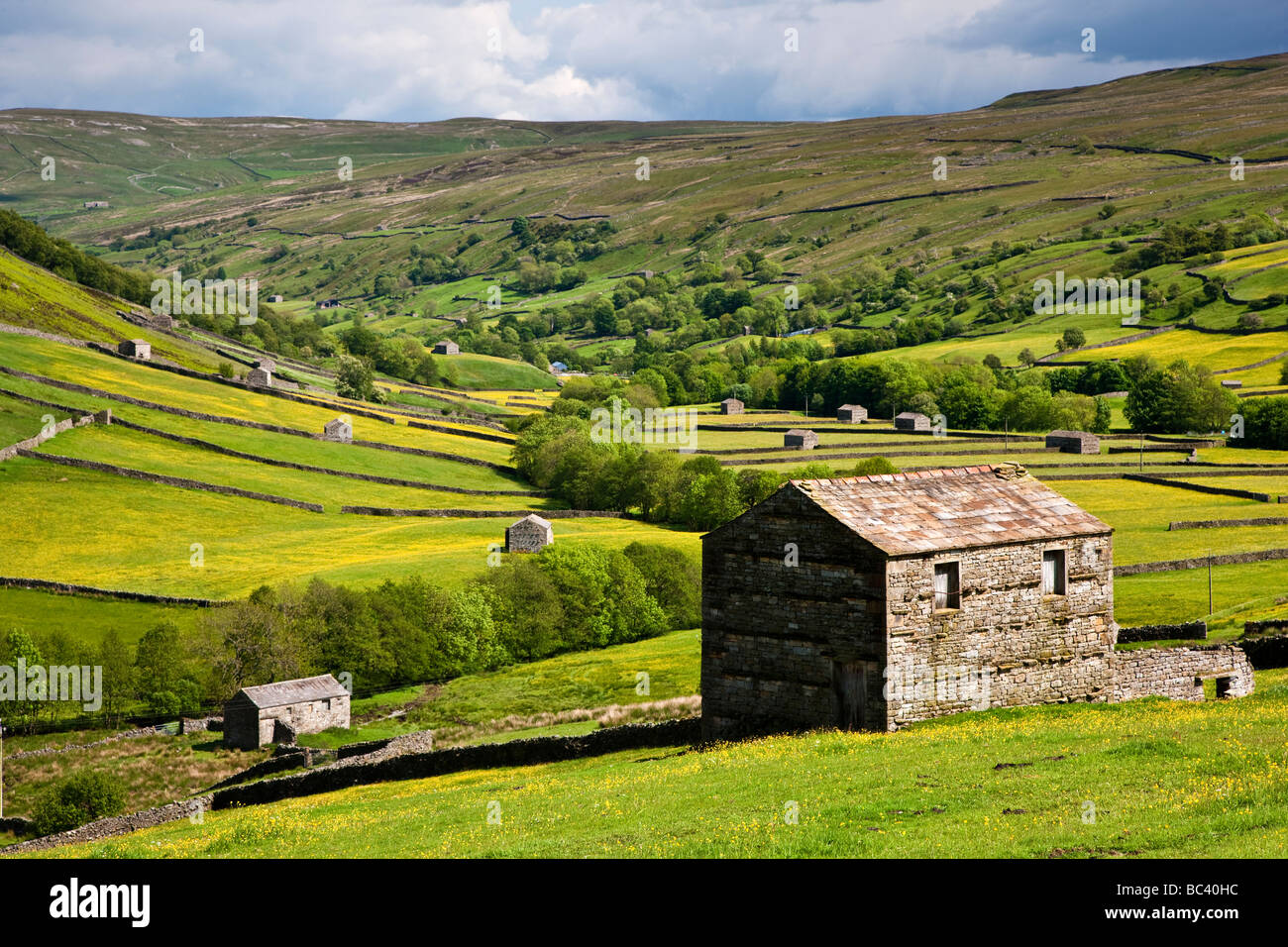 Swaledale barns and wild flower meadows near Thwaite Yorkshire Dales National Park Stock Photo