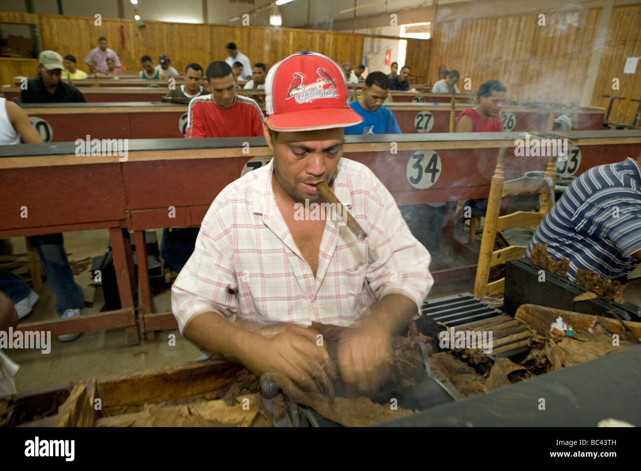 Dominican Republic - Centre - The Cibao Valley - tobacco - Santiago - Cigar Factory Stock Photo