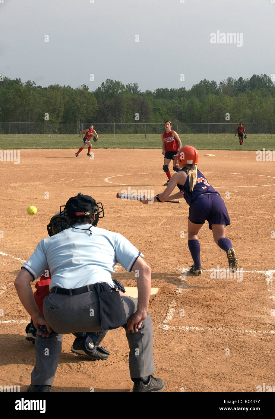 attempting to bunt the ball in High school softball Stock Photo