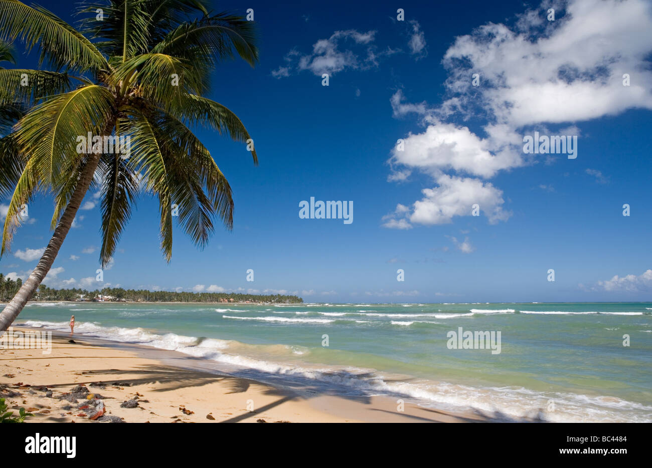Dominican Republic - North Coast - Samana Peninsula - Las Terrenas - Playa Las Ballenas Stock Photo