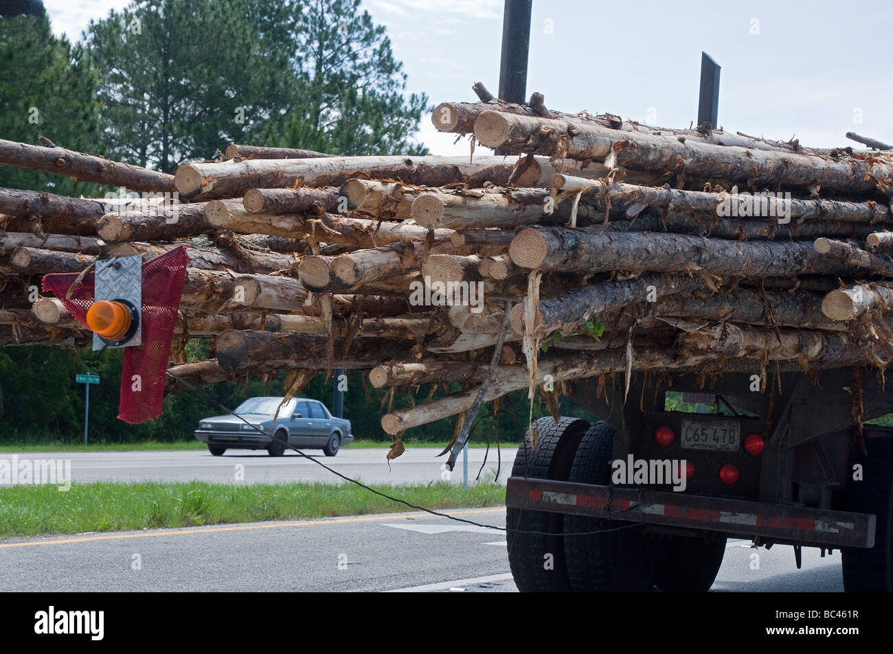 18 wheeler moving a load of logs down highway in Florida Stock Photo ...