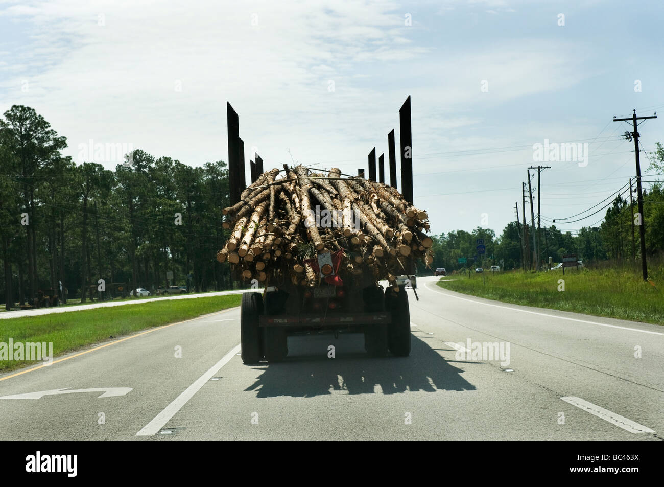 18 wheeler moving a load of logs down highway in Florida Stock Photo ...