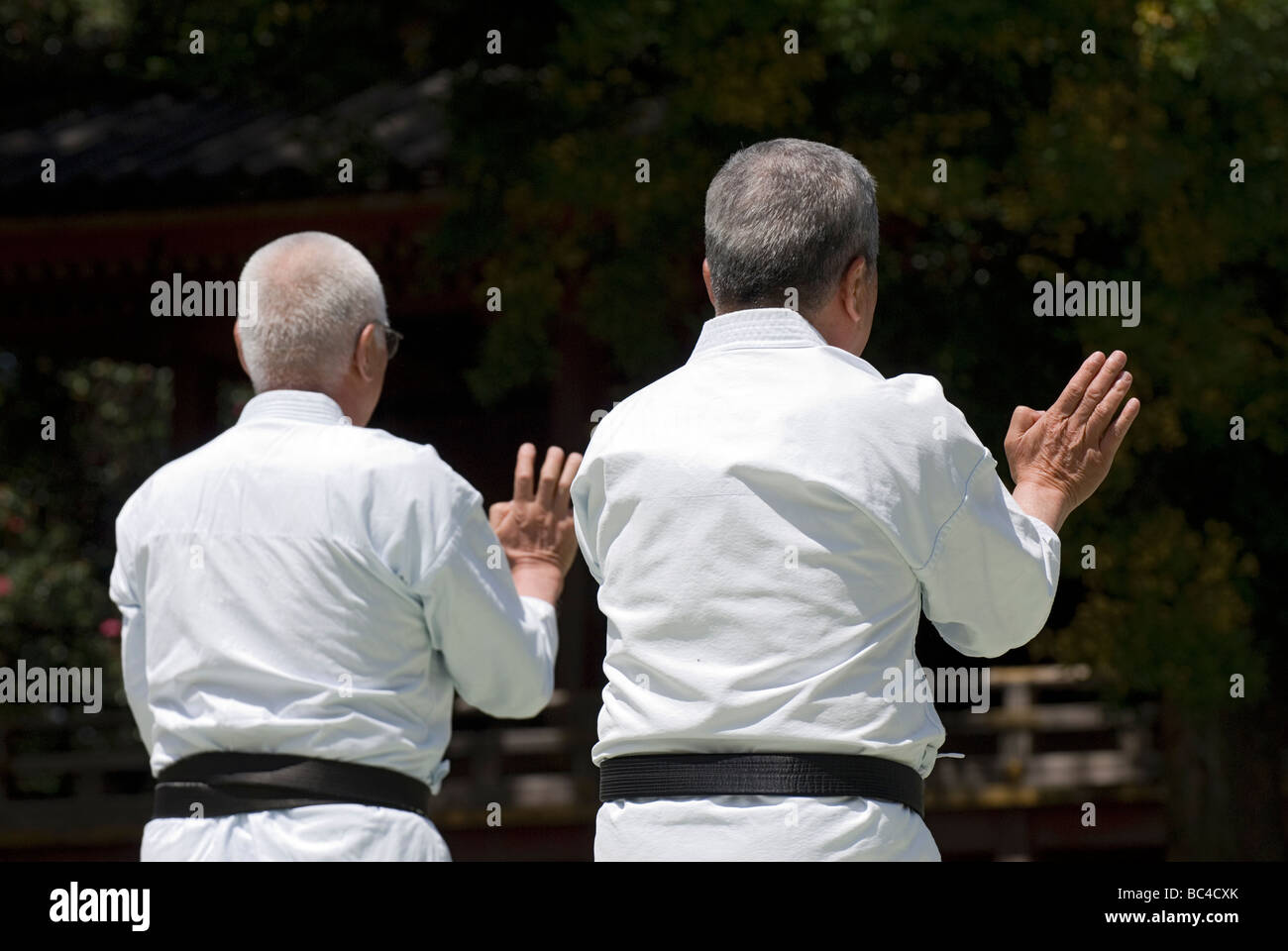 Two senior men wearing dogi and black belts strike a karate openpalm pose during a martial arts