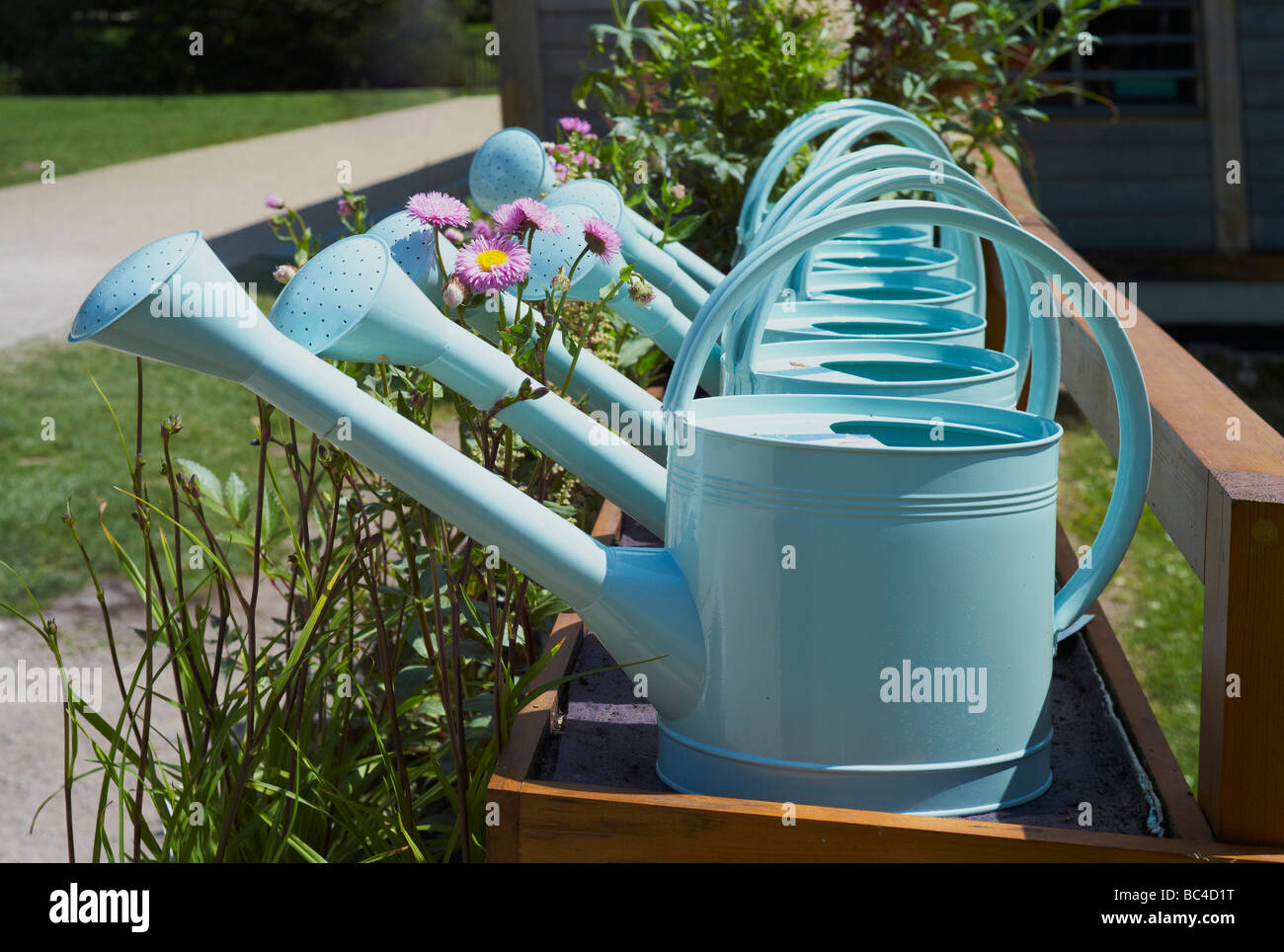 a row of watering cans for sale in a garden centre Stock Photo Alamy