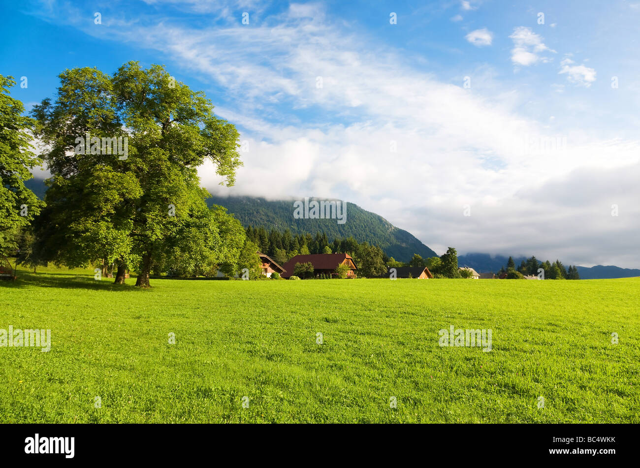 Alps morning landscape Wide angle view Stock Photo