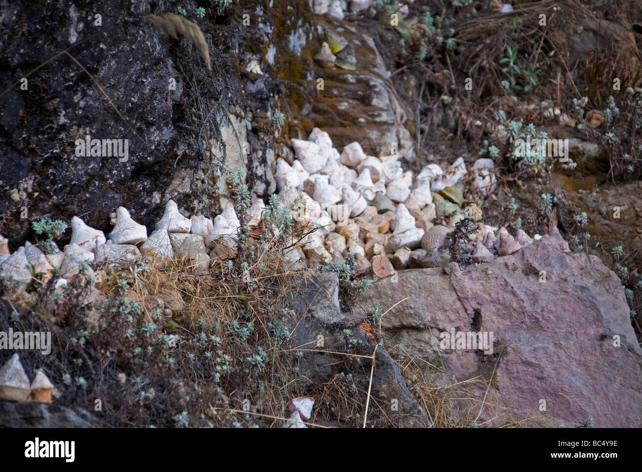 small white statues statuettes used by worshipers to honor defunct relatives, in Bhutan, Asia  horizontal 91512 Bhutan Stock Photo